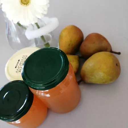 فندق مبيت وإفطار Les Bichettes 3*