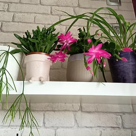 Les Bichettes فندق مبيت وإفطار 3*