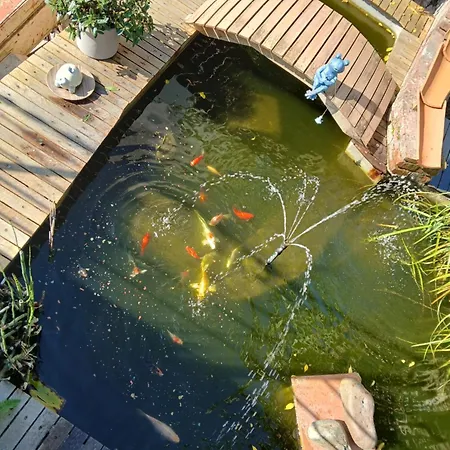 Les Bichettes 住宿加早餐酒店 3*