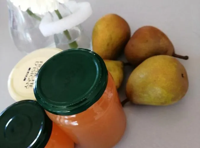 住宿加早餐酒店 Les Bichettes 3*