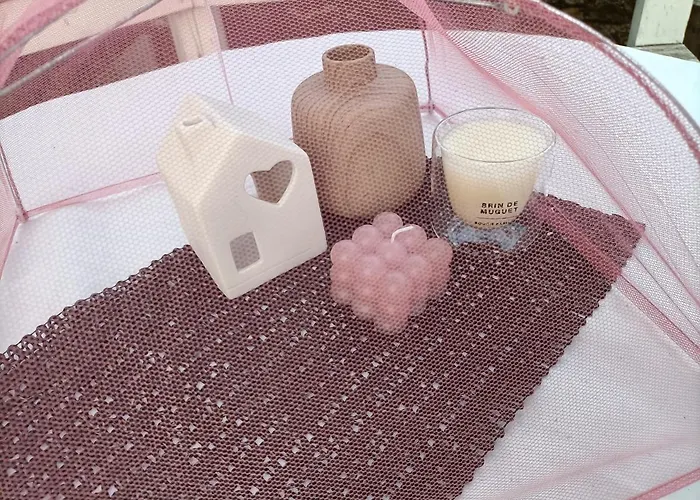 Les Bichettes 住宿加早餐酒店 Mortagne-sur-Sevre