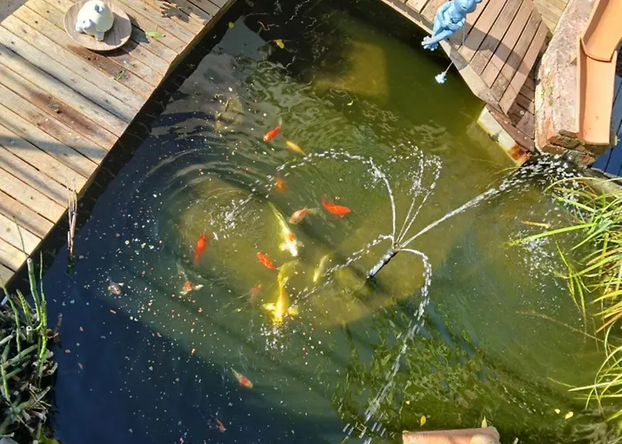 Les Bichettes 住宿加早餐酒店 3*